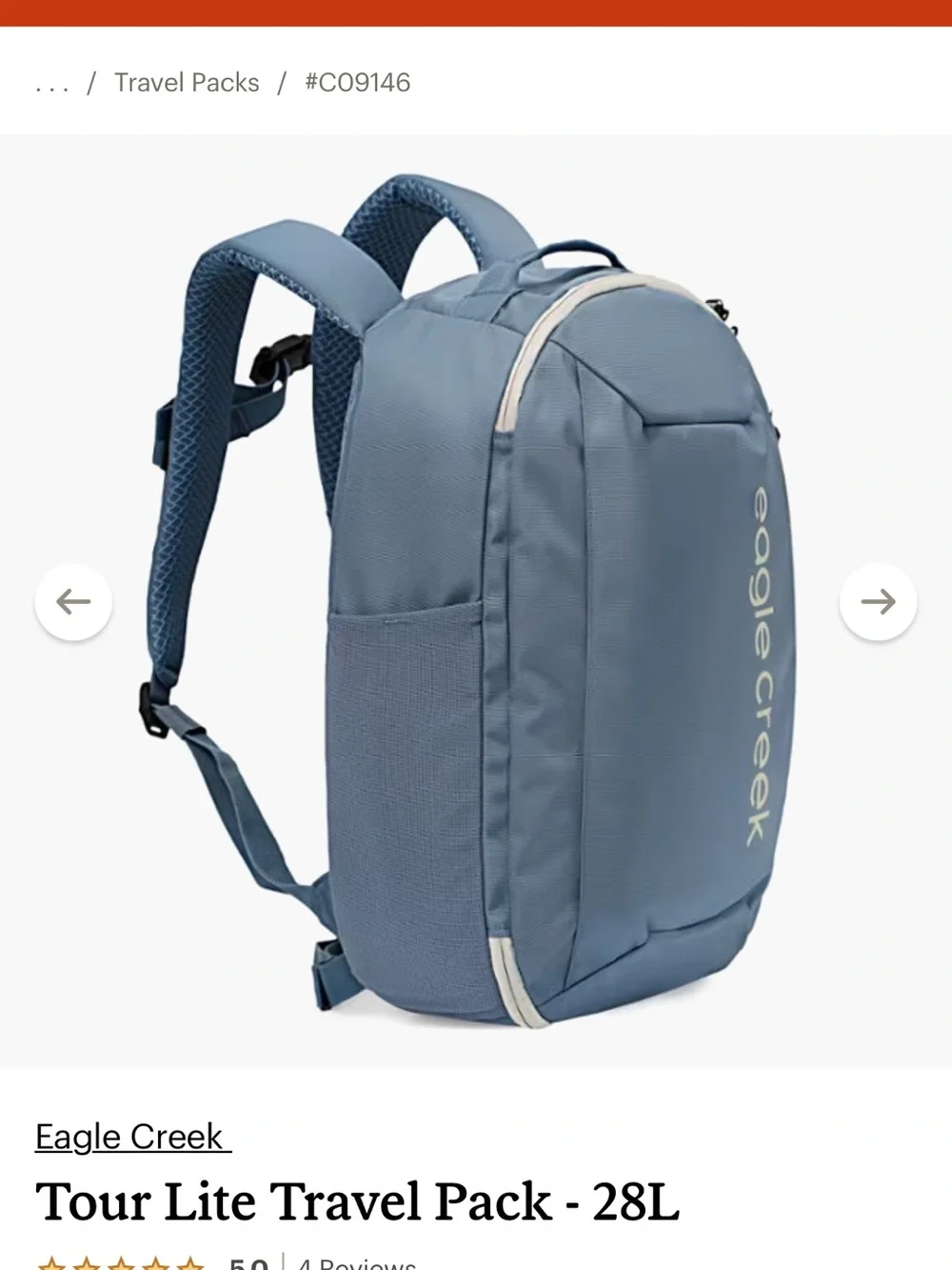 Eagle Creek Blue Everyday Backpack